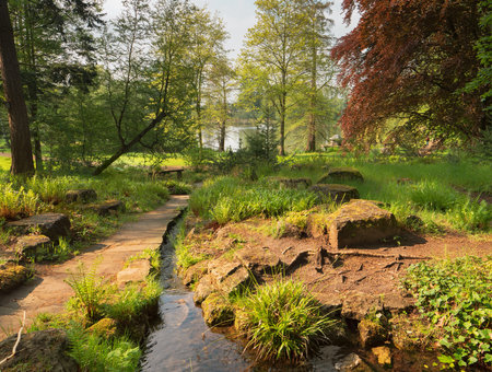 Stream, green grass, ferns, trees, large stones, walking path in the recreation park Dowesee, Braunschweig. Landscape, nature, environmental protection. Nature in spring.の写真素材