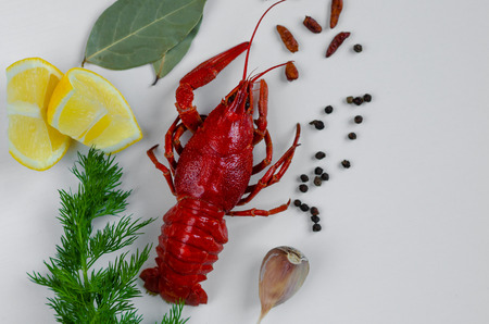 Leafed red crayfish or crawfish with red peper, lemon, dill, garlic and bay leafの写真素材