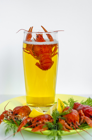 Crayfish or crayfish on the white background. Copy spaceの写真素材