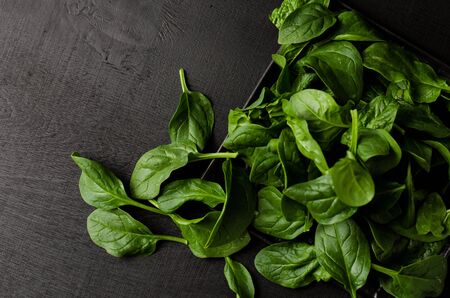 Green spinach on black background. Copy space. Healthy and diet eating concept.の写真素材