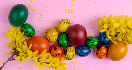 Many colorful easter quail eggs and spring flowers on pastel pink background. Top view. Copy space....