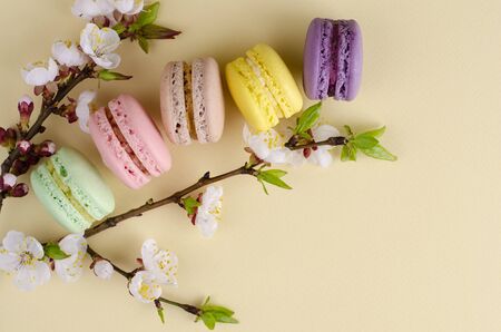 French colorful macarons or macaroons with blooming apricot tree flowers on pastel beige background. Copy space. Greeting card and spring concept. No diet day, Mothers Dayの写真素材