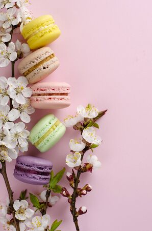Colorful french macarons or macaroons decorated with blooming apricot flowers on pastel pink background. No diet day and Mothers Day concept. Spring time. Copy spaceの写真素材