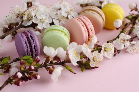 Colorful french macarons or macaroons decorated with blooming apricot flowers on pastel pink background. No diet day and Mothers Day concept. Spring time. Copy spaceの写真素材