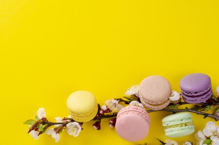 Sweet macarons or macaroons decorated with blooming apricot flowers on bright yellow background. Copy space. Greeting card and spring concept. No diet dayの写真素材