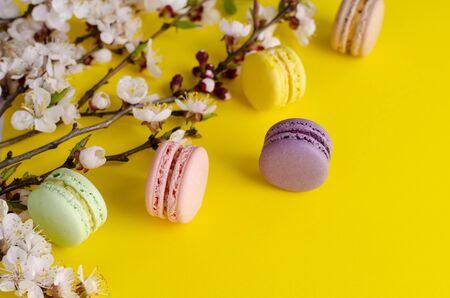 Sweet macarons or macaroons decorated with blooming apricot flowers on bright yellow background. Copy space. Greeting card and spring concept. No diet dayの写真素材