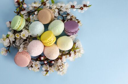 Decorative Easter eggs and sweet macarons or macaroons decorated with blooming apricot flowers on pastel blue background. Top view. Copy space. Greeting card conceptの写真素材