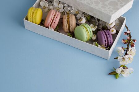 Fresh macaroons in a gift box with flowers of apricot tree on pastel blue background. Delicious gift for Mothers Day. Copy space. Greeting card concept.の写真素材
