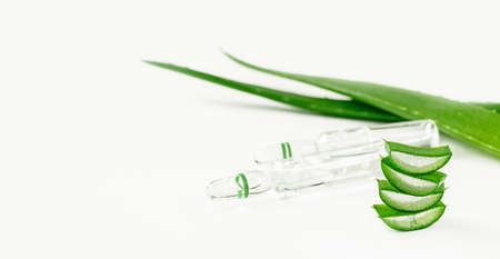 Aloe vera extract in ampoules and sliced leaves on white background. Alternative medicine.の写真素材
