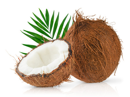 Composition of coconuts and palm leaf isolated