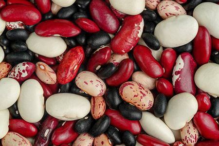 Mixed legumes beans background. Top view, overheadの写真素材