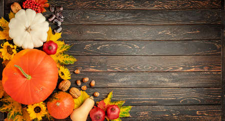 Thanksgiving day and harvest composition on dark wooden background. Copy spaceの写真素材
