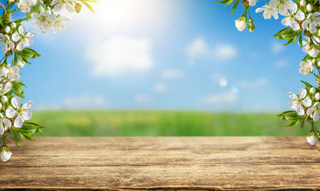 Spring background of empty wooden table top and cherry tree blossom. Copy spaceの写真素材