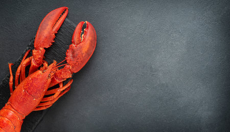 Prepared red lobster on dark concrete stone background. Top view, copy spaceの写真素材