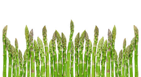 Row of green asparagus isolated on white background. copyspace. high quality photoの写真素材