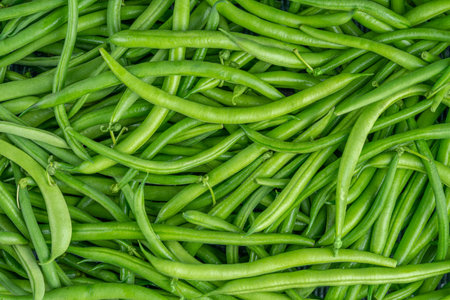 Fresh green bean pods texture. Close up, top view. high quality photo