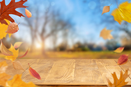 Autumn background with flying leaves. copyspace.の写真素材