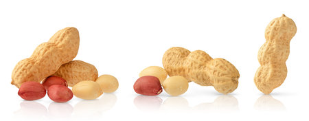 Set of peanuts isolated on white background