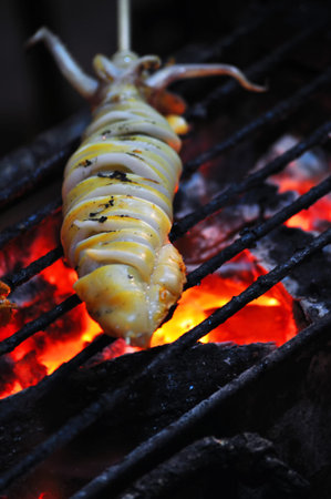 high-resolution image Close up fresh squid barbeque grilled