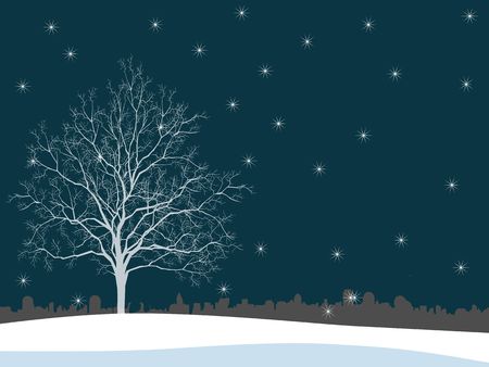 Wintertreeの写真素材
