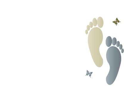 feedsの写真素材