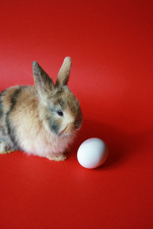 Osterhase