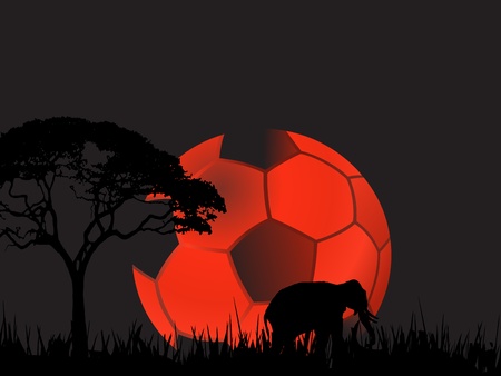 soccerの写真素材