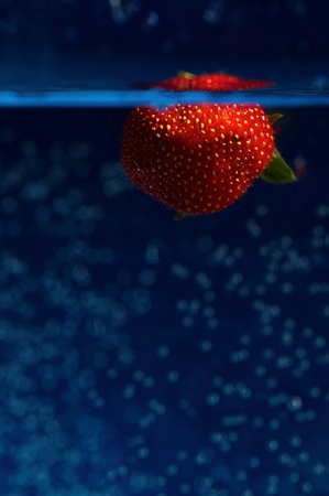 Strawberry in blueの写真素材