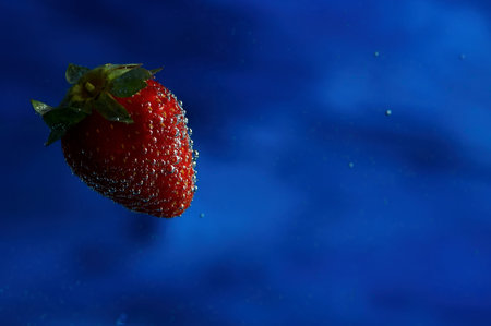 Strawberry in blueの写真素材
