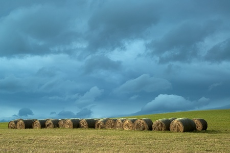  Silage in meadow の写真素材