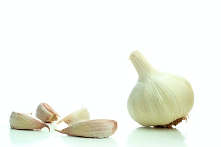 Single whole garlic on a white backgroundの写真素材