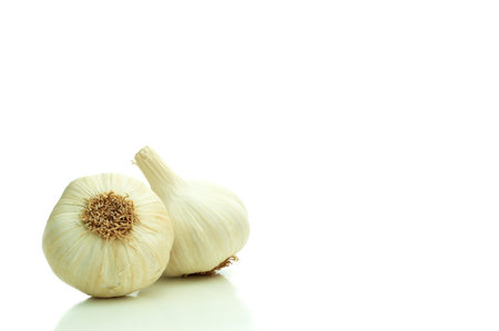 Two garlic on a white backgroundの写真素材