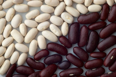 Two different colored beans