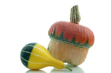 two pumpkins on a white backgroundの写真素材