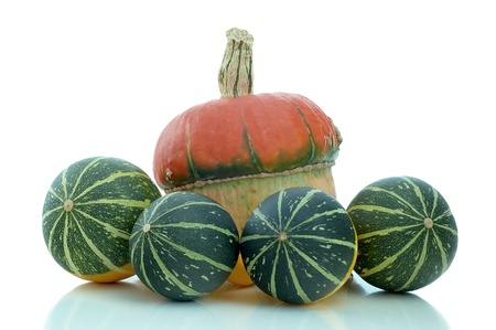 a group of different types of pumpkins on a white backgroundの写真素材