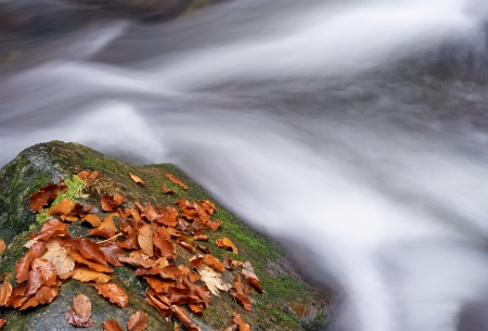 Autumn brook with stones and beech leavesの写真素材