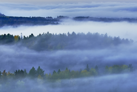 Foggy morning in the romantic landscape of the Czech Switzerlandの写真素材
