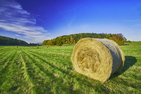 View of the autumn landscape with silage in meadowの写真素材