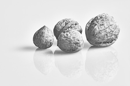 Four walnuts of reflection on clean backgroundの写真素材