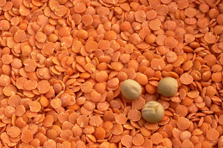 Marco view of the three pea and lentils in the backgroundの写真素材