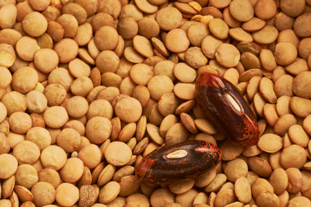 Marco view of the two beans and lentils in the background