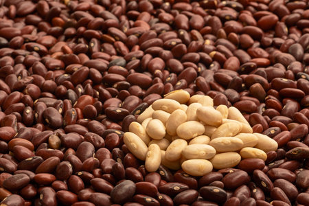 Detailed view of the two kinds of beans