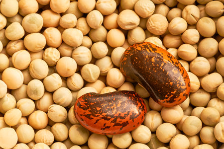 Marco view of the two beans and pea in the background