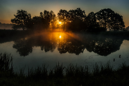 Sunrise at the pond with treesの写真素材