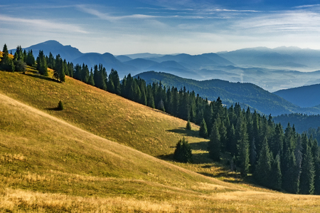 View of summer landscape Slovak from mountains Big Fatraの写真素材