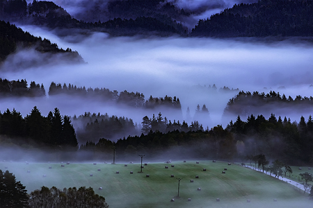 Foggy morning in the romantic landscape of the Czech Switzerlandの写真素材