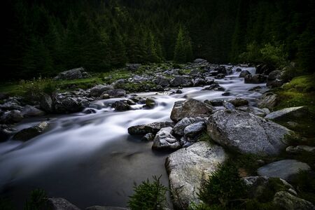 View of the flowing river Ruetz with stones and trees in the background from Stubai / Austria /の写真素材