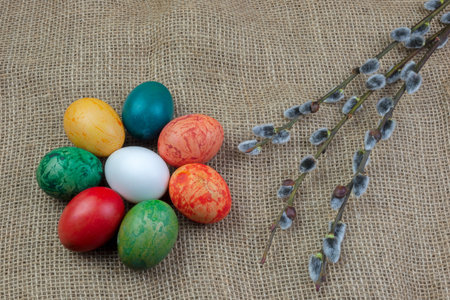 A view of eight differently colored Easter eggs with twigs of willow catkins