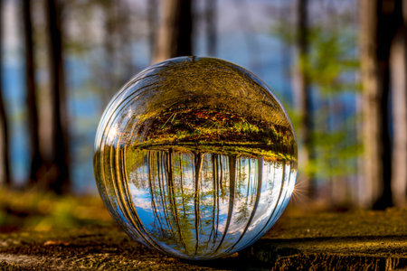 Glass ball in spring sunny beech forest