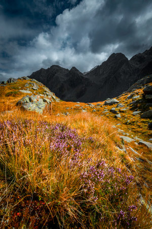 View of mountain alpine landscape from Austriaの写真素材